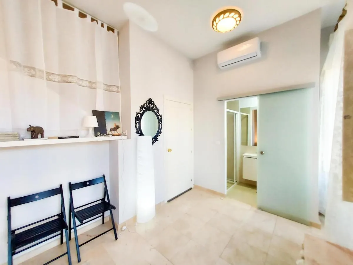 Апартаменты Atico Duplex Alameda De Hercules Gran Terraza Севилья Испания
